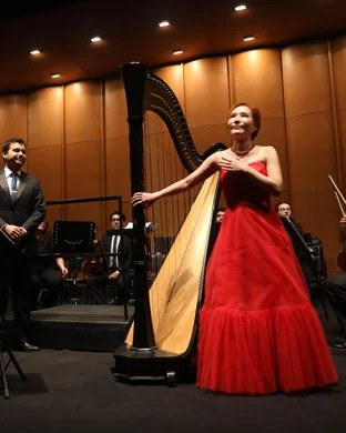 Lords Of The Sound Orchestra