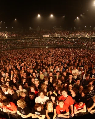 Stevie: A Life in the Key of Songs Brooklyn