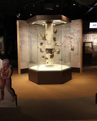 Castle Point Anime Convention