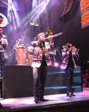 Banda MS Newark