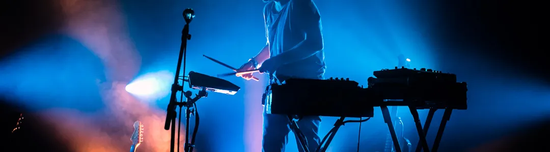 Bonobo