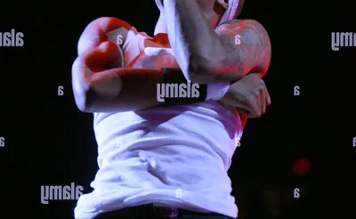 Bow Wow