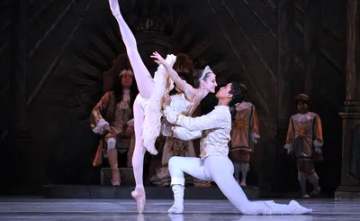 Charlotte Ballet