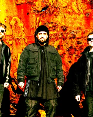 Chasing Abbey Brooklyn