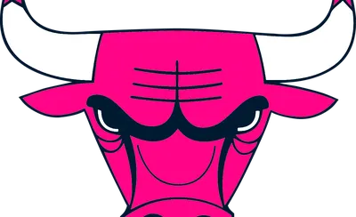 Chicago Bulls