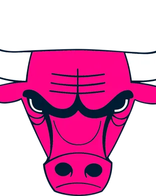 Chicago Bulls