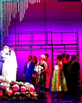 Cinderella in a Sparkling Show