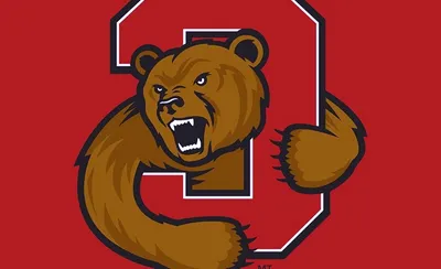 Cornell Big Red