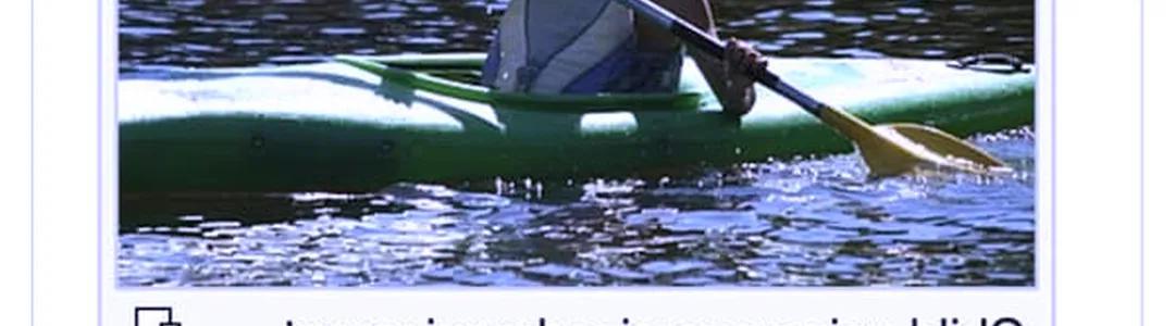 Depths of Wikipedia Live