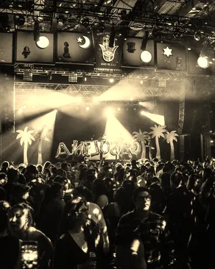 Gasolina Reggaeton Party