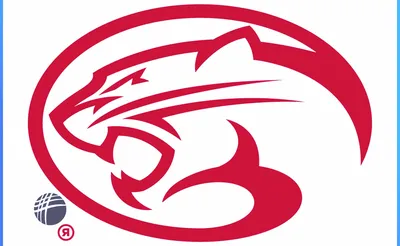 Houston Cougars
