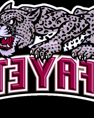 Princeton Tigers Football