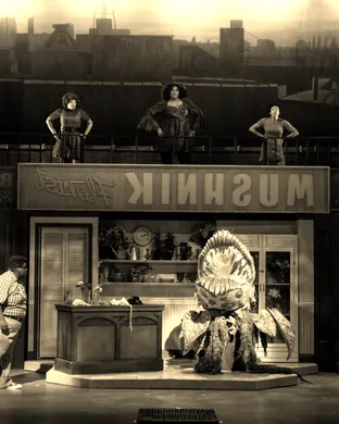 Little Shop Of Horrors