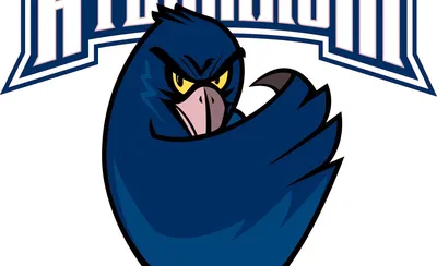 Monmouth Hawks