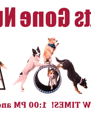 Mutts Gone Nuts Newark