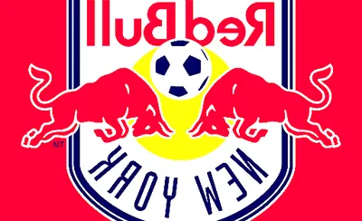 New York Red Bulls