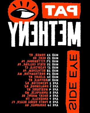 Pat Metheny New York