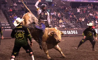 PBR - Professional Bull Riders