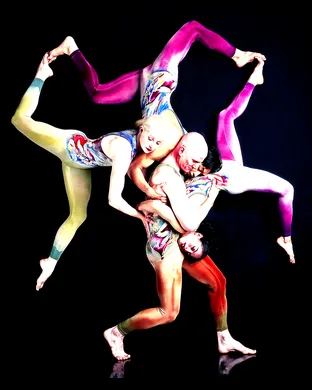 Pilobolus
