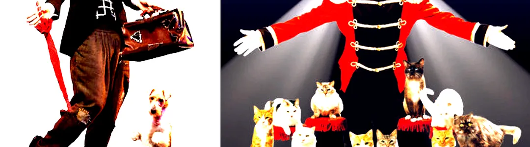 Popovich Comedy Pet Theater