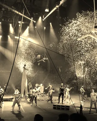 Ringling Bros. and Barnum & Bailey Circus