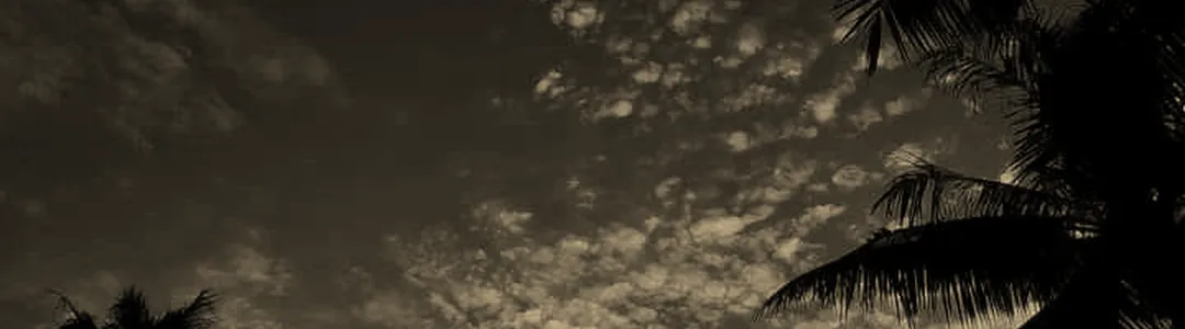 Said The Sky