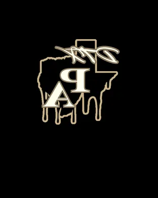 Party Animals - Baseball Bronx