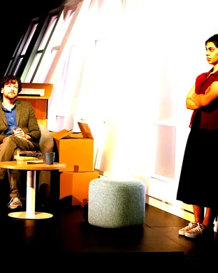 Sexual Misconduct of the Middle Classes