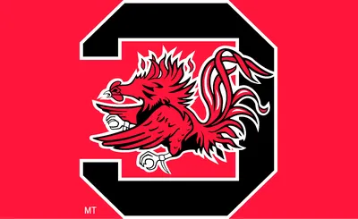 South Carolina Gamecocks