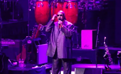 Stevie Wonder
