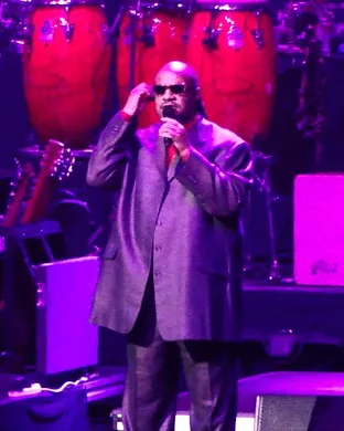 Stevie Wonder
