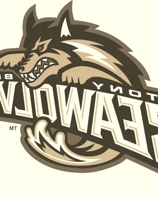 Stony Brook Seawolves