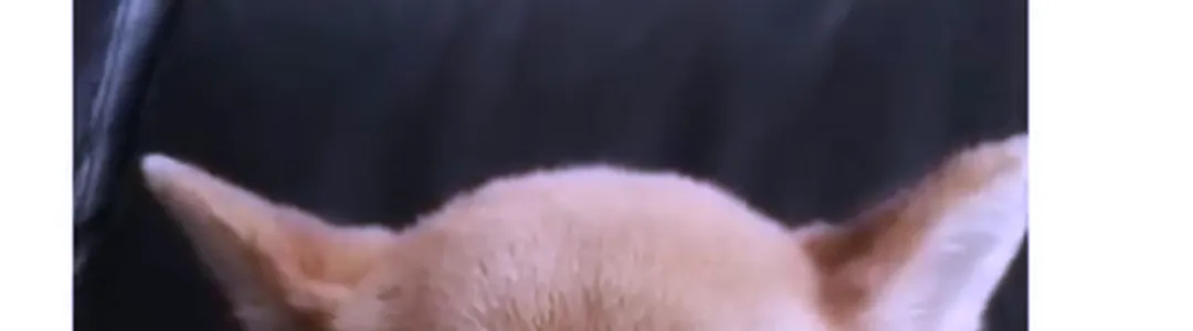 The Best One Yet Live