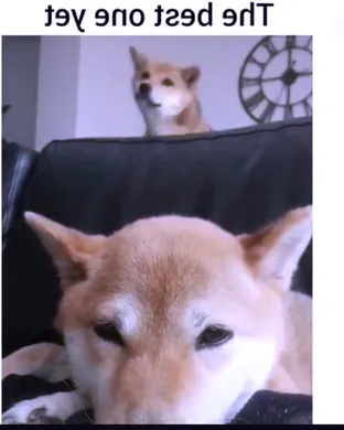 The Best One Yet Live