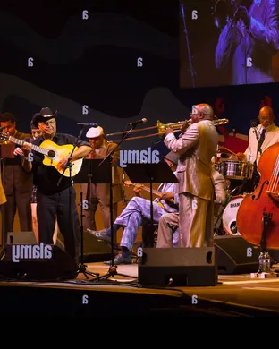 The Buena Vista Orchestra