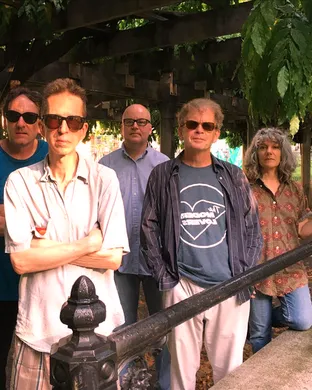 The Feelies