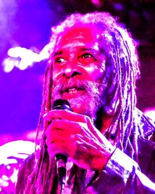 The Skatalites
