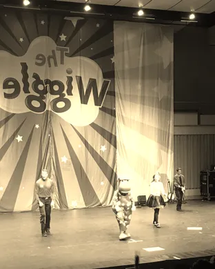 The Wiggles theatre performance