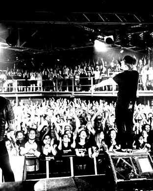 The Wombats