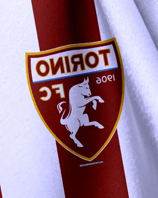 Torino FC vs. Juventus FC sports event