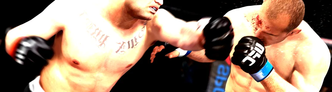 UFC - Ultimate Fighting Championship