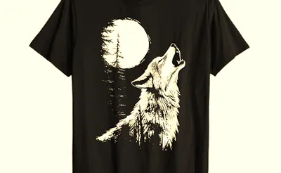 Wolf and Bear