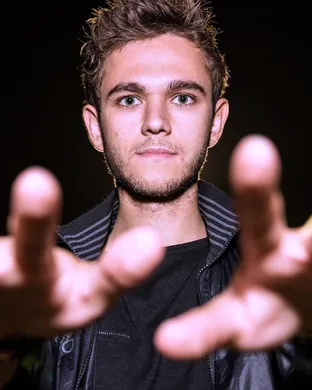 Zedd - 2 Day Pass