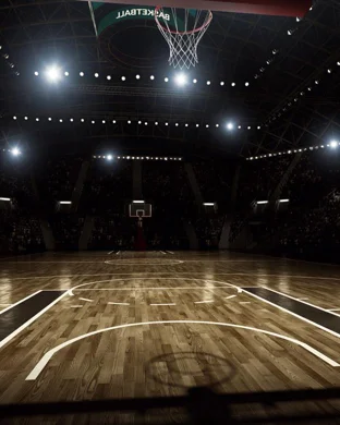 Maryland Eastern Shore Hawks