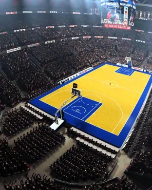 Princeton Tigers Women's Basketball