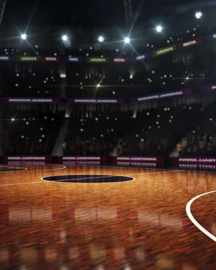 Wagner Seahawks Women's Basketball