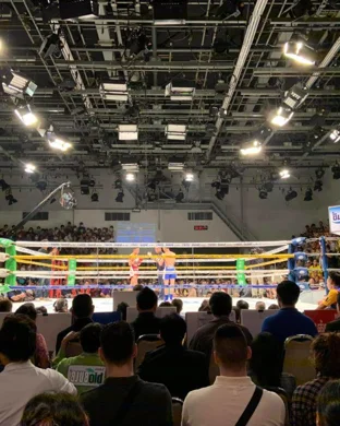 MSG Boxing: Ring Masters Championships