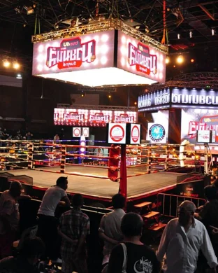 HSBC World Rugby Seven Series: New York - 2 Day Pass