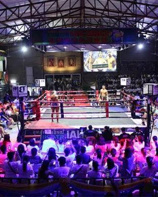 Victory Fighting League