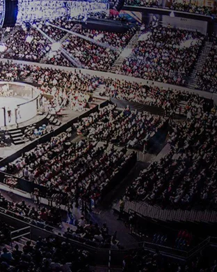 The Armored League Experience